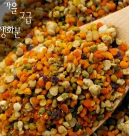 햇고급가을생화분 2kg