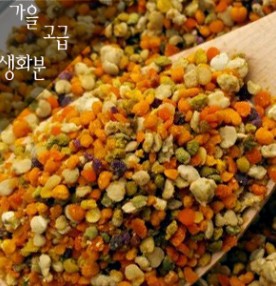 햇고급가을생화분 2kg