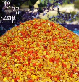 햇가을고급건조화분 2kg