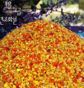 햇가을고급건조화분 1kg
