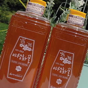 야생화 튜브꿀1000g x 2개 (2kg) 100%숙성생꿀