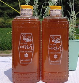 야생화 튜브꿀1000g x 2개 (2kg) 100%숙성생꿀